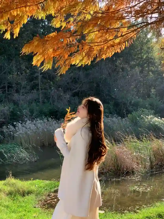 网页微信下载数据对比